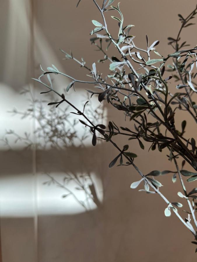 Sparkling Time Apartman Βίλα Hajdúszoboszló Εξωτερικό φωτογραφία